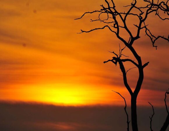 Nature’s Raw Power with Umoja Motherland Tours