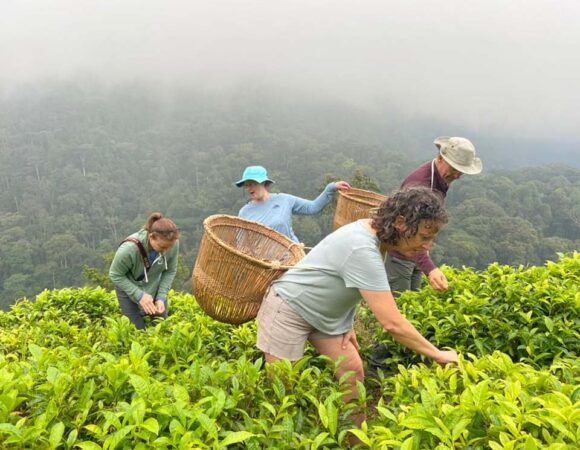 Empowering Journeys: Women Travel with Agnes