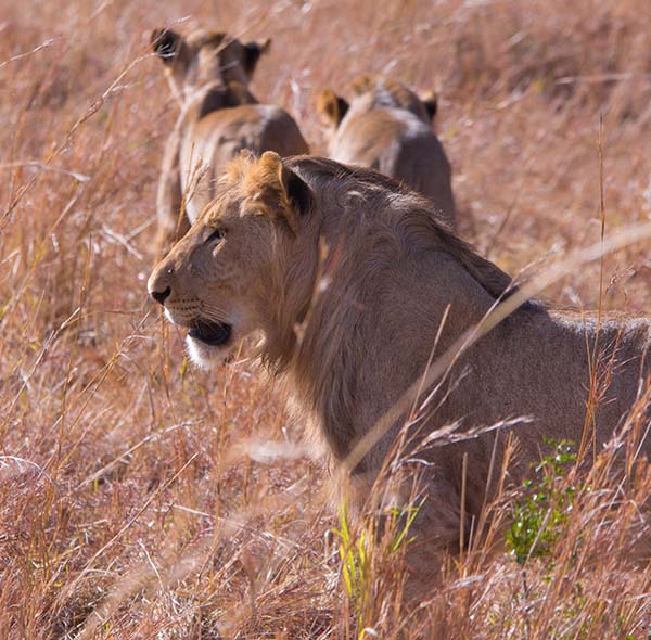Tanzania