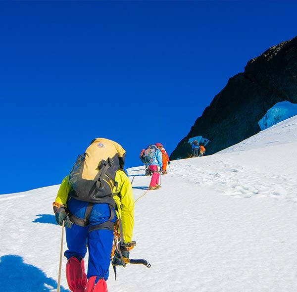 Rwenzori Mountaineering And Gorilla Trekking.