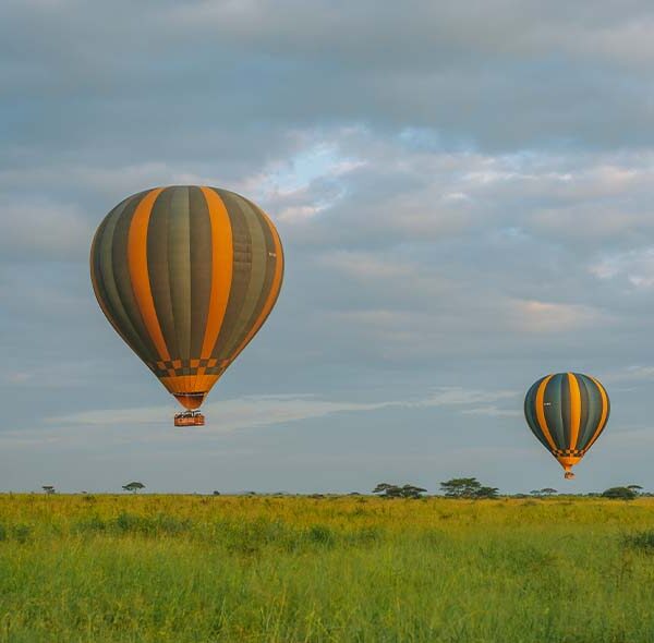 7 Days Luxury Tanzania Safari