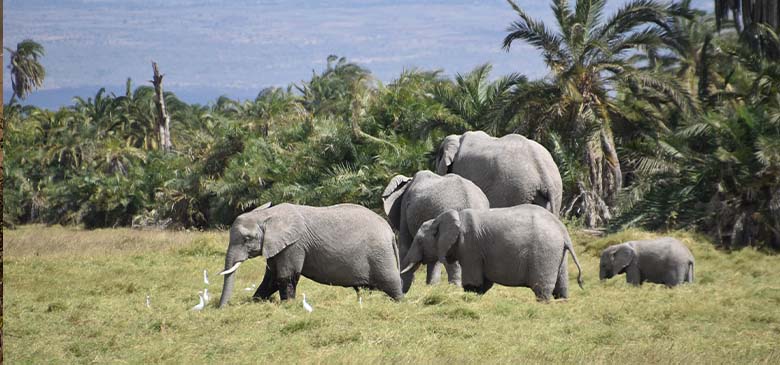 Kenya