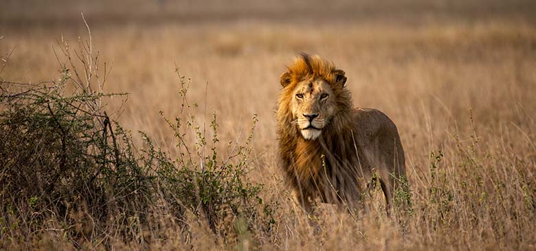 Tanzania